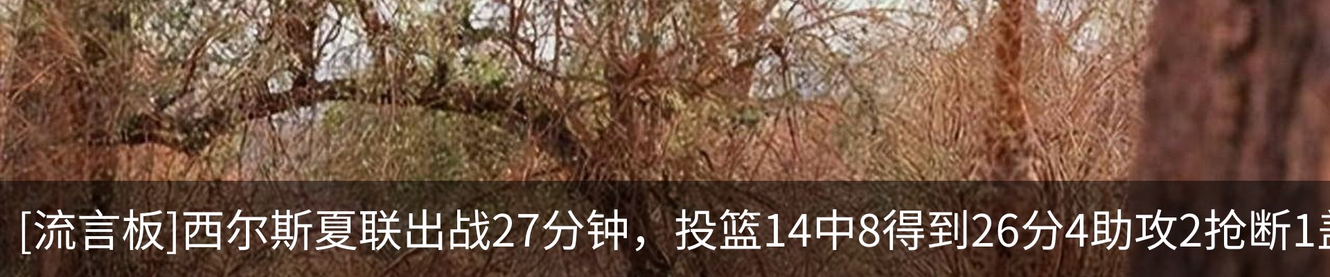 内页banner